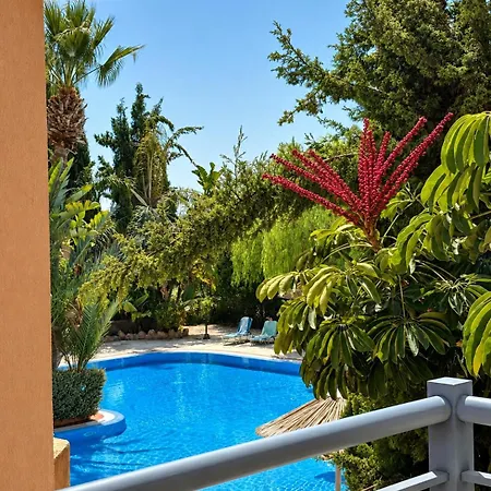 Cyprus Sun * פאהיה