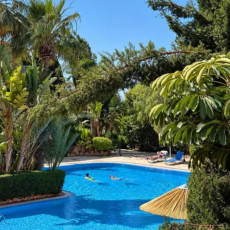 Cyprus Sun פאהיה
